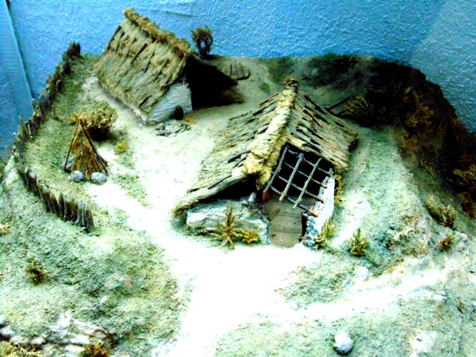 Zarubintsy dwellings