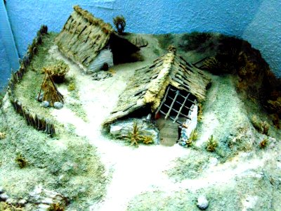 Zarubintsy dwellings