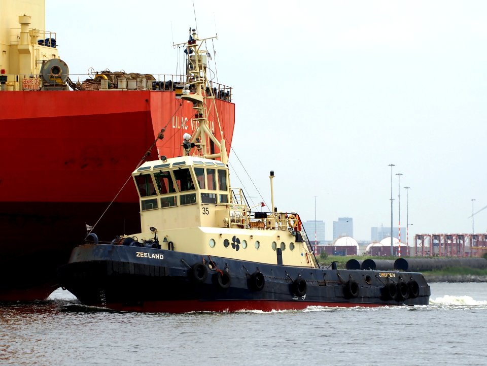 Zeeland - IMO 8117483 & Lilac Victoria - IMO 9589815, Afrikahaven, Port of Amsterdam pic 2