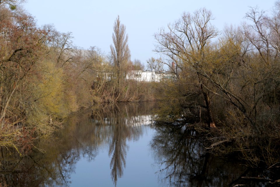 Zehlendorfer Stichkanal 2021-02-24 03