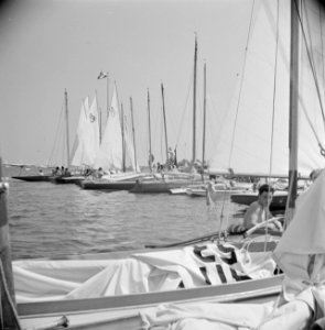 Zeilers en zeilboten in de jachthaven van Grouw, Bestanddeelnr 191-0669 photo