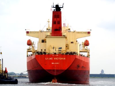 Zeeland - IMO 8117483 & Lilac Victoria - IMO 9589815, Afrikahaven, Port of Amsterdam pic 5