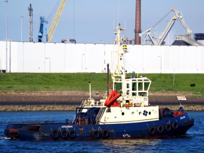 Zeeland, IMO 8117483, at locks of IJmuiden, Port of Amsterdam, pic2