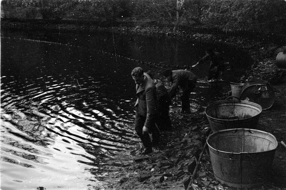 Zegenvissen in een vijver in park Sonsbeek te Arnhem, Bestanddeelnr 170-0554