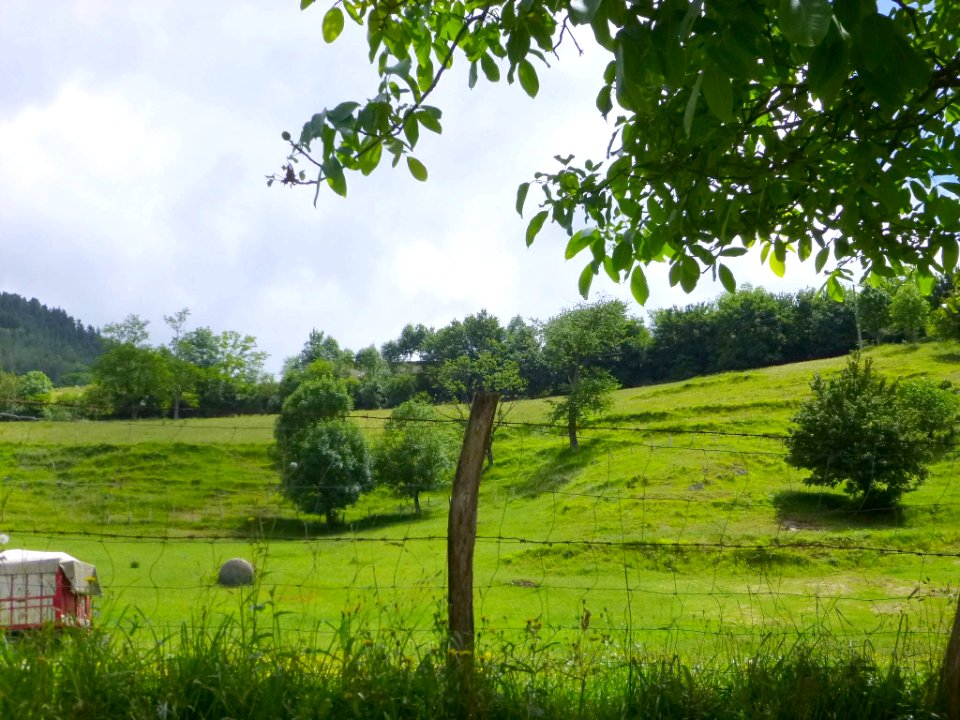 Zegama 26