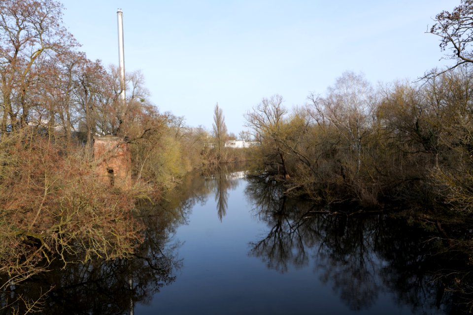 Zehlendorfer Stichkanal 2021-02-24 01