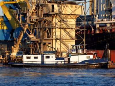 Zeldenrust, ENI 02317311, Port of Amterdam pic2