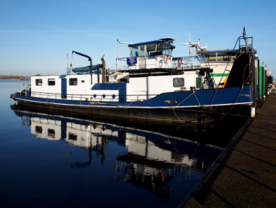 Zeldenrust ENI 02317311 Port of Amsterdam pic1