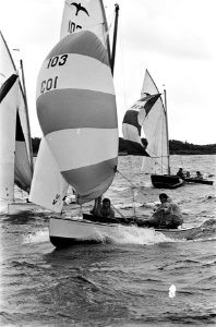 Zeilwedstrijden op Brasemermeer, de Vrijheids gaan hier voor de wind, Bestanddeelnr 917-9532
