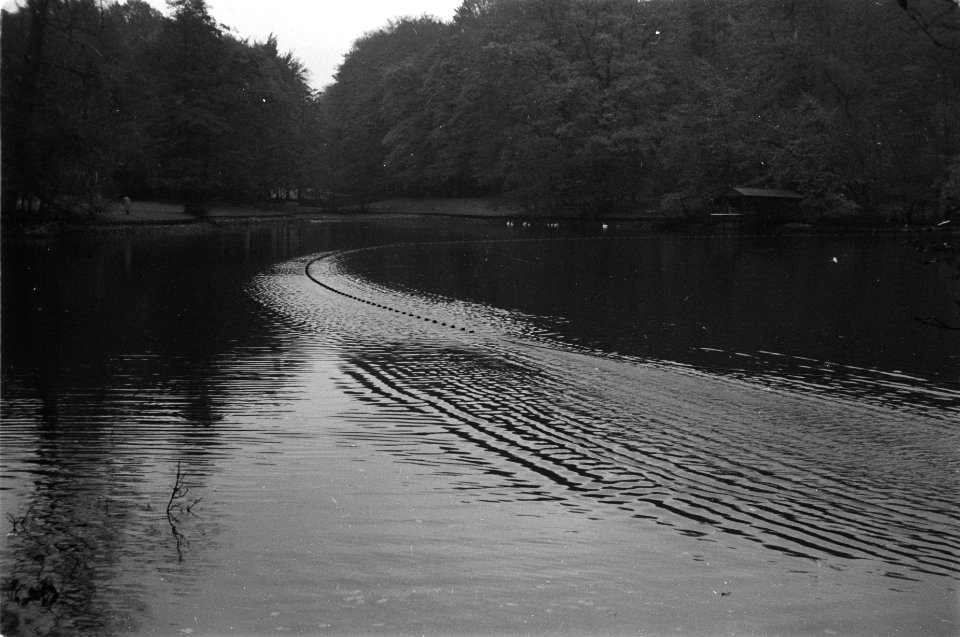 Zegenvissen in een vijver in park Sonsbeek te Arnhem, Bestanddeelnr 170-0553