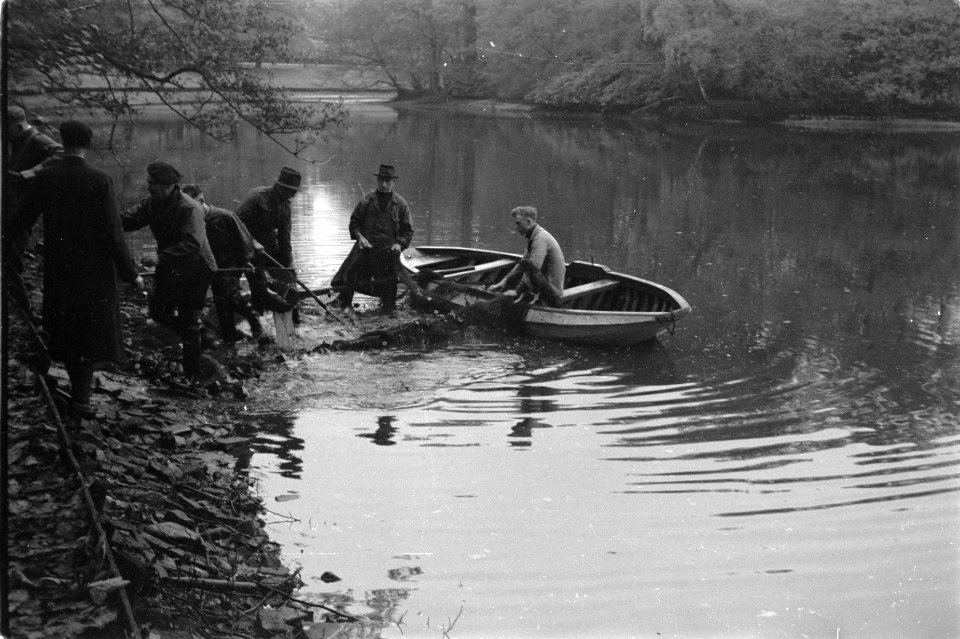 Zegenvissen in een vijver in park Sonsbeek te Arnhem, Bestanddeelnr 170-0558