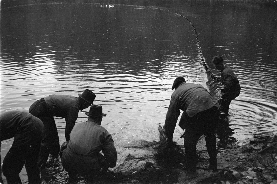 Zegenvissen in een vijver in park Sonsbeek te Arnhem, Bestanddeelnr 170-0555