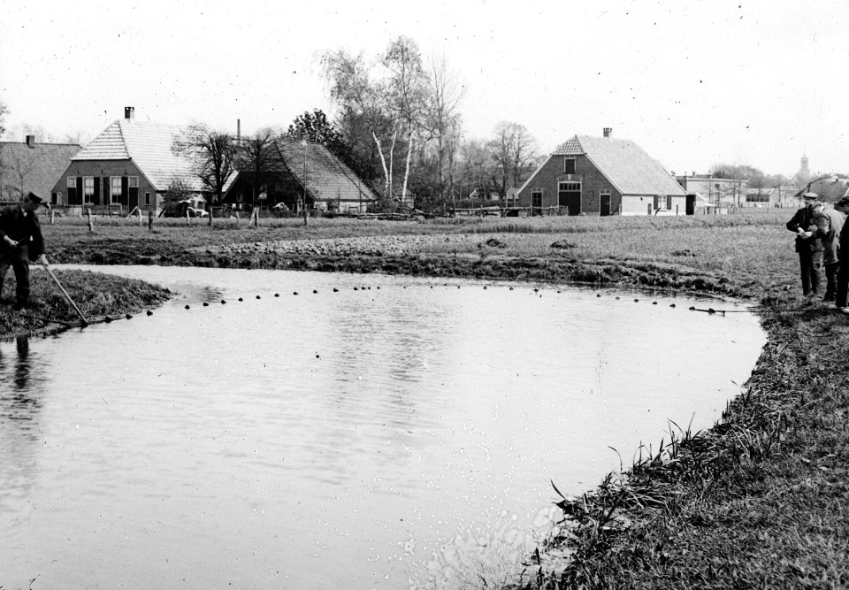 Zegentrek in wetering, Bestanddeelnr 194-0919