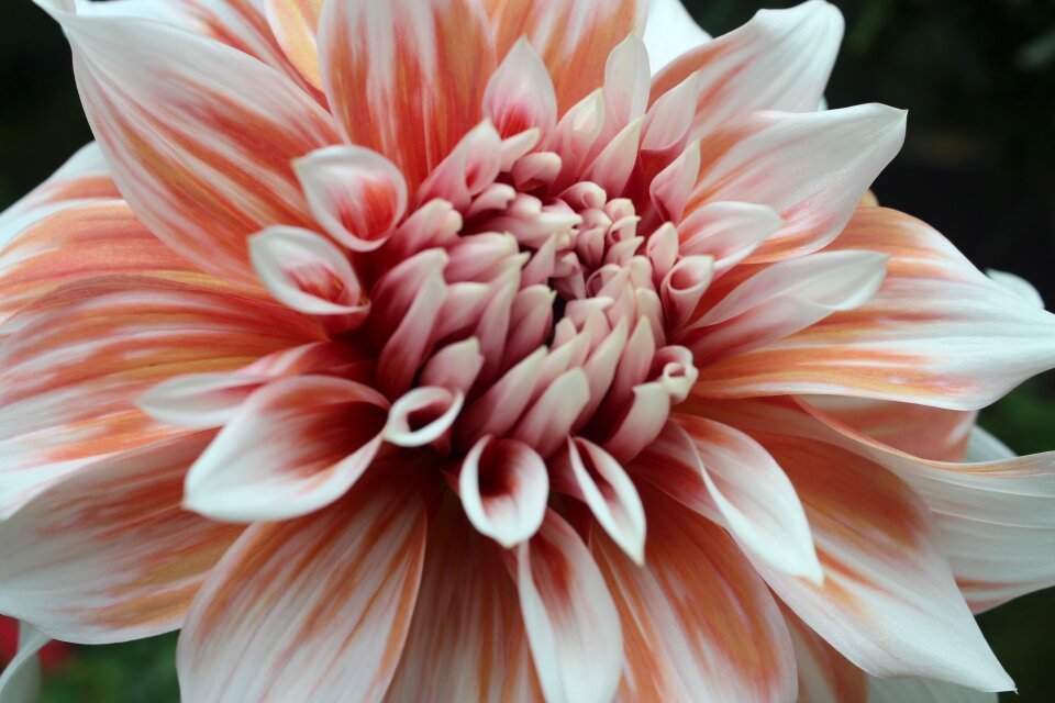Natural colorful summer