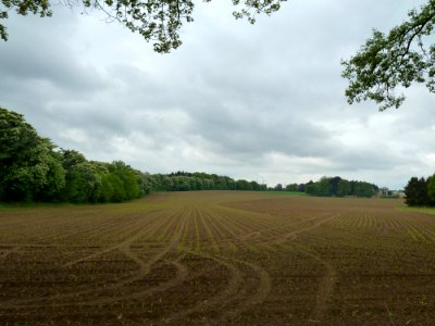 Zelem-Klooster Sint-Jansberg + complex (5)