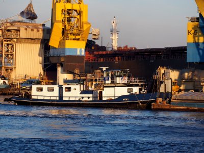 Zeldenrust, ENI 02317311, Port of Amterdam pic1