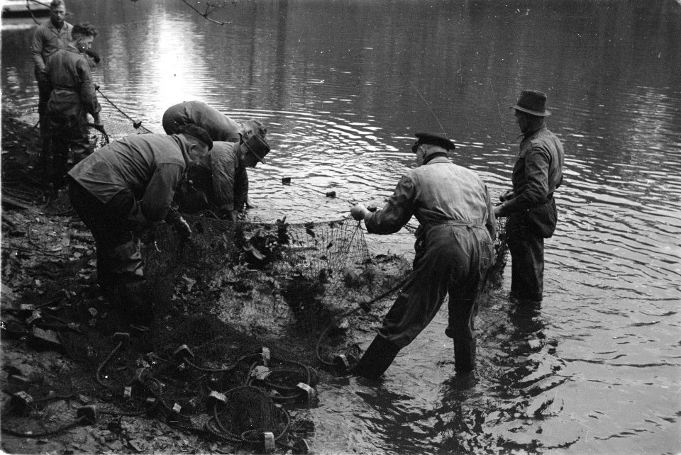 Zegenvissen in een vijver in park Sonsbeek te Arnhem, Bestanddeelnr 170-0556