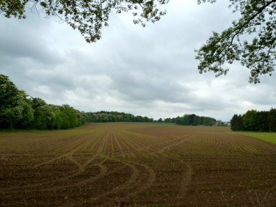 Zelem-Klooster Sint-Jansberg + complex (4)