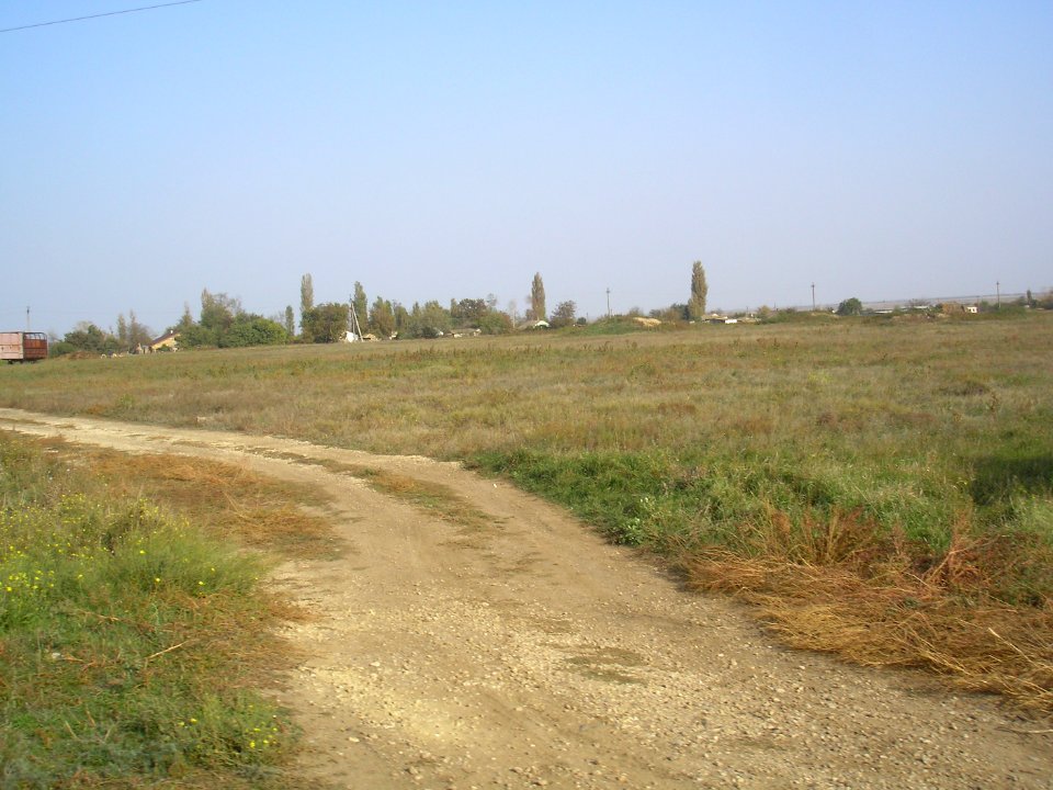 Zeleniy Yar Dzh 5