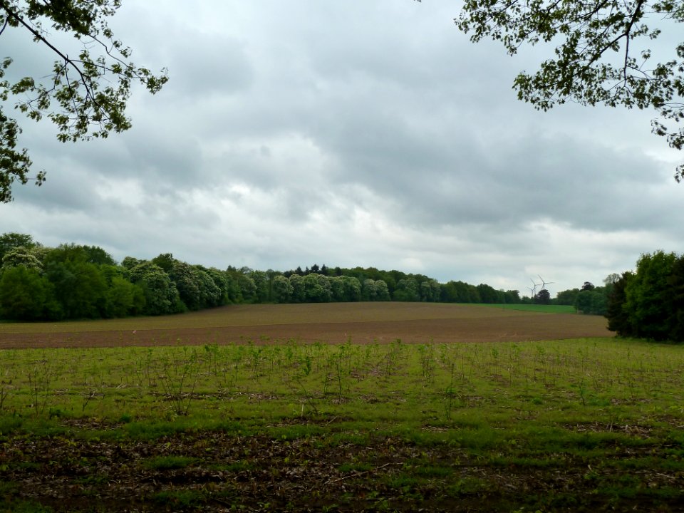 Zelem-Klooster Sint-Jansberg + complex (6)