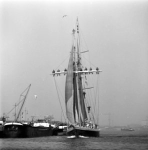 Zeilschip De Eendracht bezoekt Amsterdam, Bestanddeelnr 929-3673