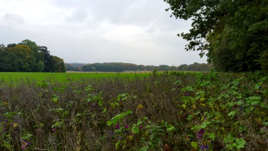 Zelem-Uitzicht vanaf de heuvel Sint-Jansberg (1)