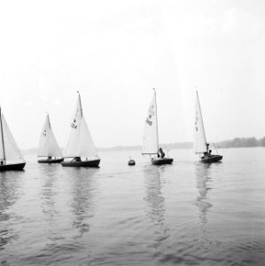 Zeilwedstrijden op de Kralingse Plas . Ronden van de boei, Bestanddeelnr 912-8924
