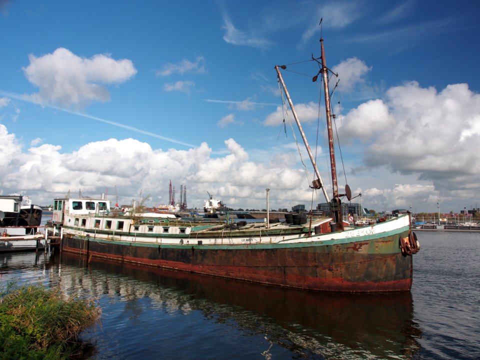 Zeekoe at the Nieuwe Houthaven, Port of Amsterdam, pic2