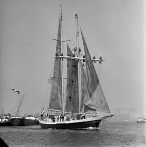 Zeilschip De Eendracht bezoekt Amsterdam, Bestanddeelnr 929-3670