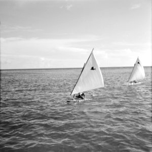 Zeilschepen op zee bij de Yachtclub van Aruba, Bestanddeelnr 252-3979