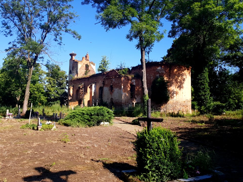 Wojnowice, ruiny kościoła (3)