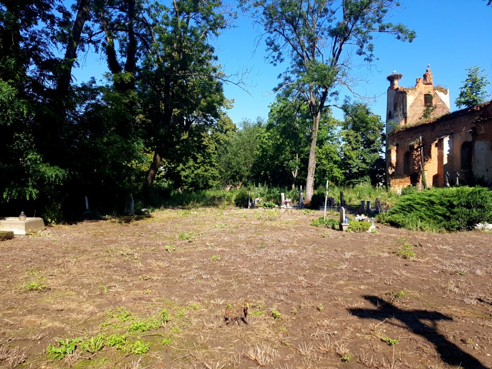 Wojnowice, ruiny kościoła (4)