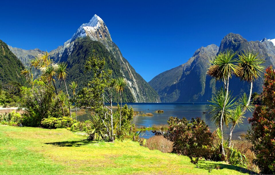 Fjord south island fiordland national park