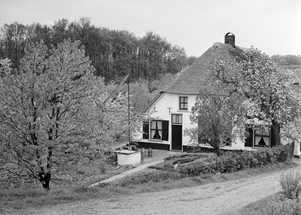 Woeste gronden, natuurschoon, wegen, bomen, bloei, boerderijen, Bestanddeelnr 162-1211