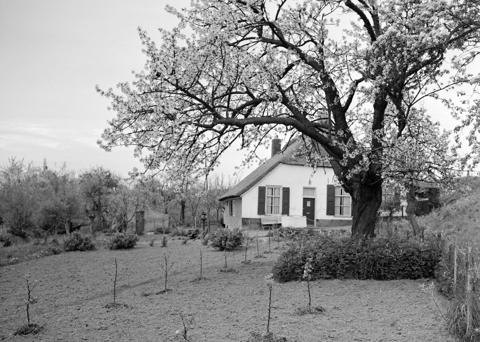 Woeste gronden, natuurschoon, wegen, bomen, bloei, boerderijen, Bestanddeelnr 162-1212