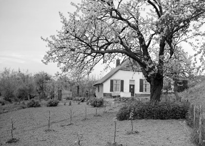 Woeste gronden, natuurschoon, wegen, bomen, bloei, boerderijen, Bestanddeelnr 162-1212