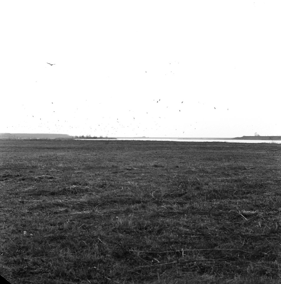 Woeste gronden, natuurschoon, vogelreservaten, braakman, Bestanddeelnr 162-1311