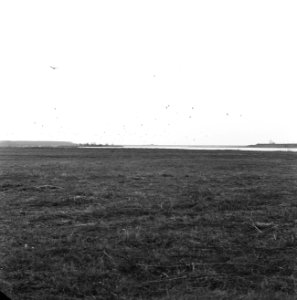 Woeste gronden, natuurschoon, vogelreservaten, braakman, Bestanddeelnr 162-1311