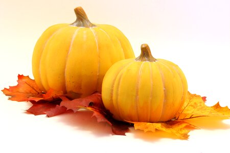Autumn halloweenkuerbis orange