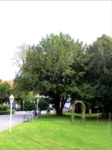 Witten Eibe 2.3.9