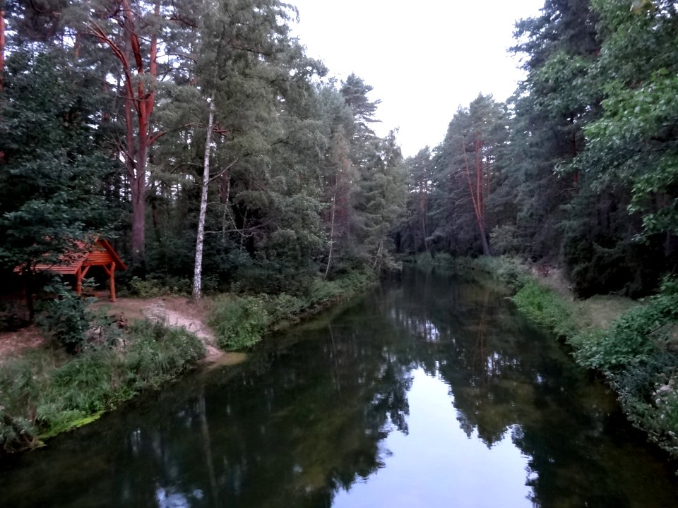 Wlk Kanal Brdy Zukowo 08-2013