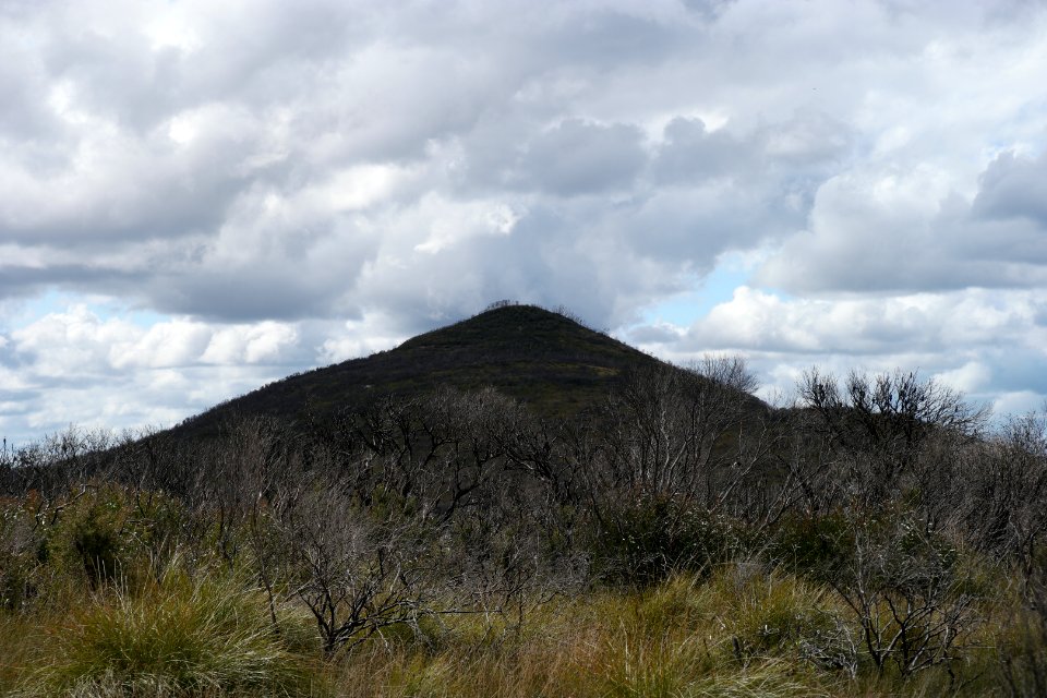 Wog Wog to Corang Peak, Corang Arch and Canowrie Brook, Morton National Park 105