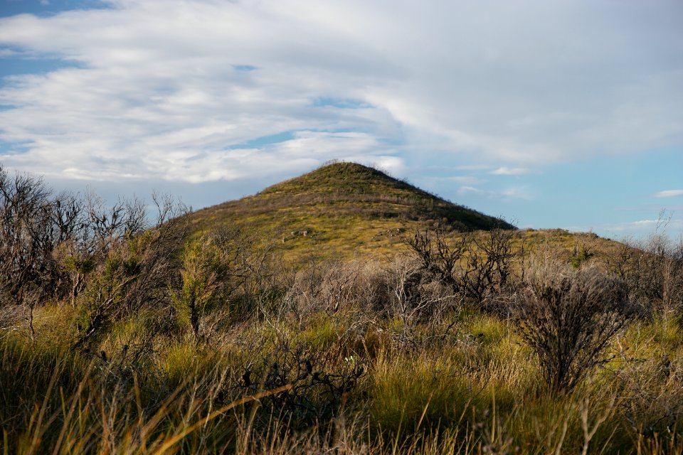 Wog Wog to Corang Peak, Corang Arch and Canowrie Brook, Morton National Park 197
