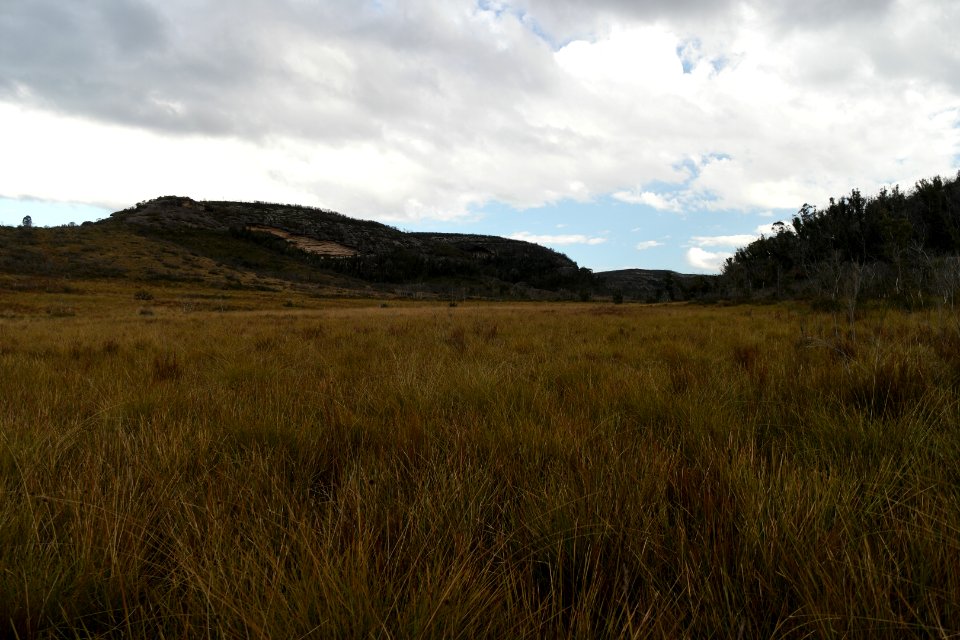 Wog Wog to Corang Peak, Corang Arch and Canowrie Brook, Morton National Park 185