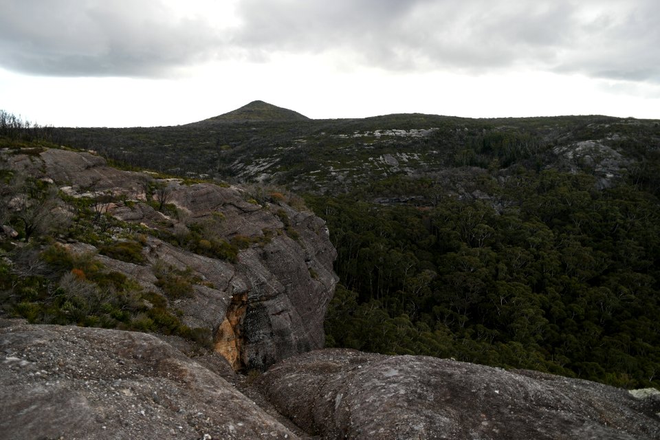 Wog Wog to Corang Peak, Corang Arch and Canowrie Brook, Morton National Park 192