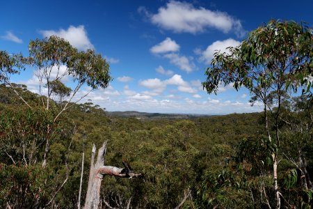 Wog Wog to Corang Peak, Corang Arch and Canowrie Brook, Morton National Park 28