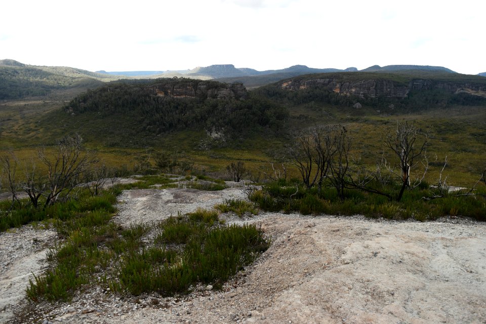 Wog Wog to Corang Peak, Corang Arch and Canowrie Brook, Morton National Park 157