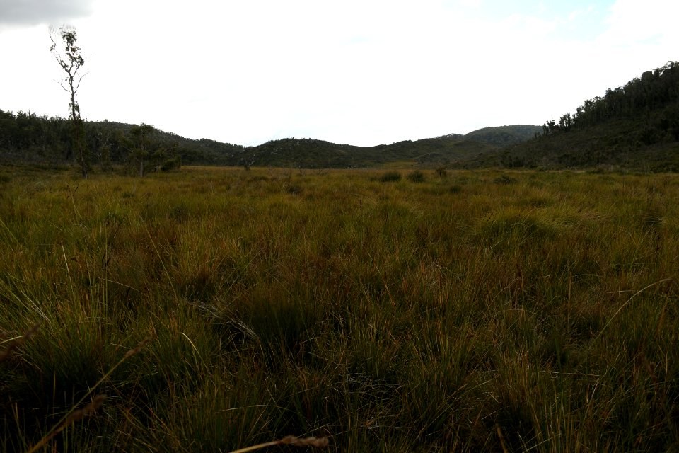 Wog Wog to Corang Peak, Corang Arch and Canowrie Brook, Morton National Park 183