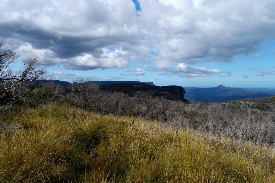 Wog Wog to Corang Peak, Corang Arch and Canowrie Brook, Morton National Park 109