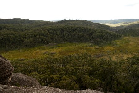 Wog Wog to Corang Peak, Corang Arch and Canowrie Brook, Morton National Park 160